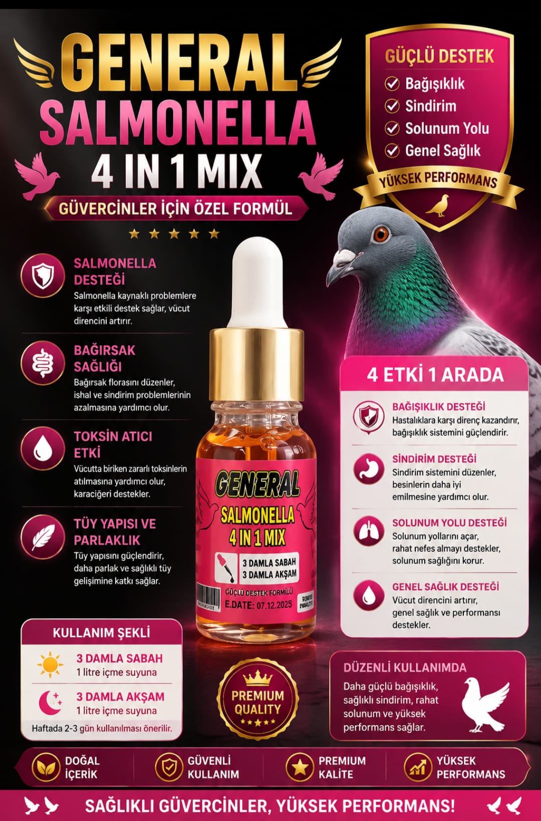 general salmonella damla